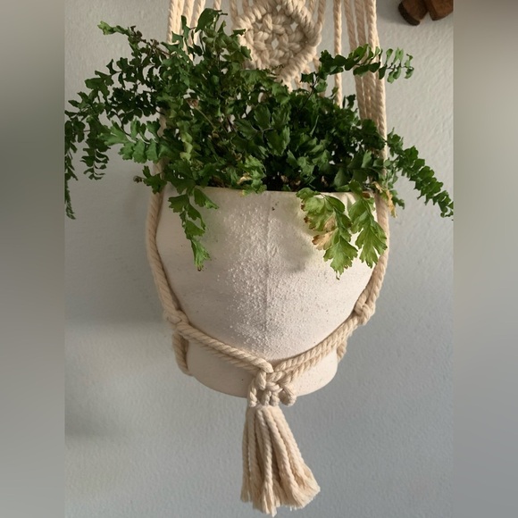 Handcrafted Driftwood Macrame Wall Hanging by Clover Rey NWT - Picture 4 of 9